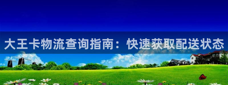 28圈怎么注册游戏名字：大王卡物流查