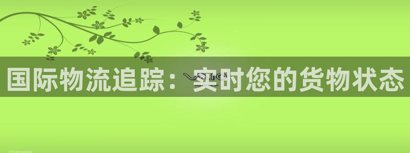 28圈v6能卖多少：国际物流追踪：实