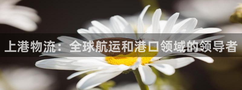 28圈官网版所有版本