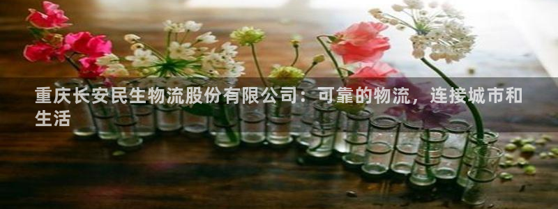 28圈登录流程：重庆长安民生物流股份