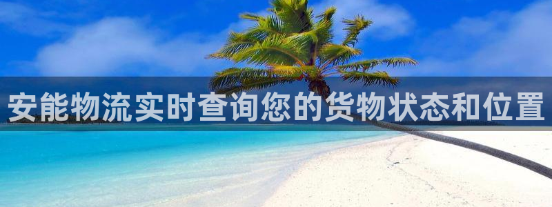 28圈哪个最赚钱：安能物流实时查询您