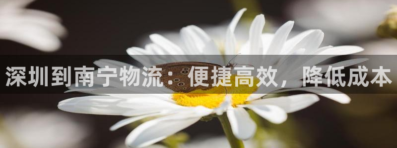 麻将128圈：深圳到南宁物流：便捷高