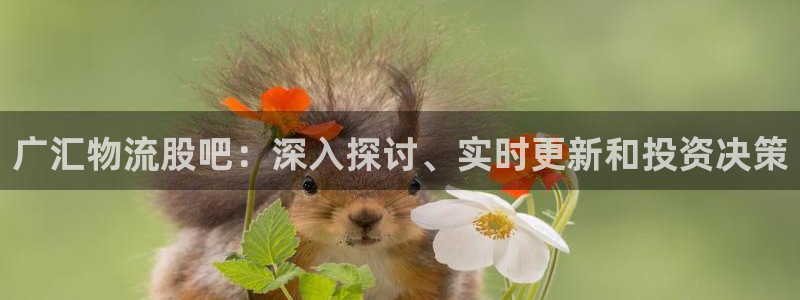 28圈龙虎
